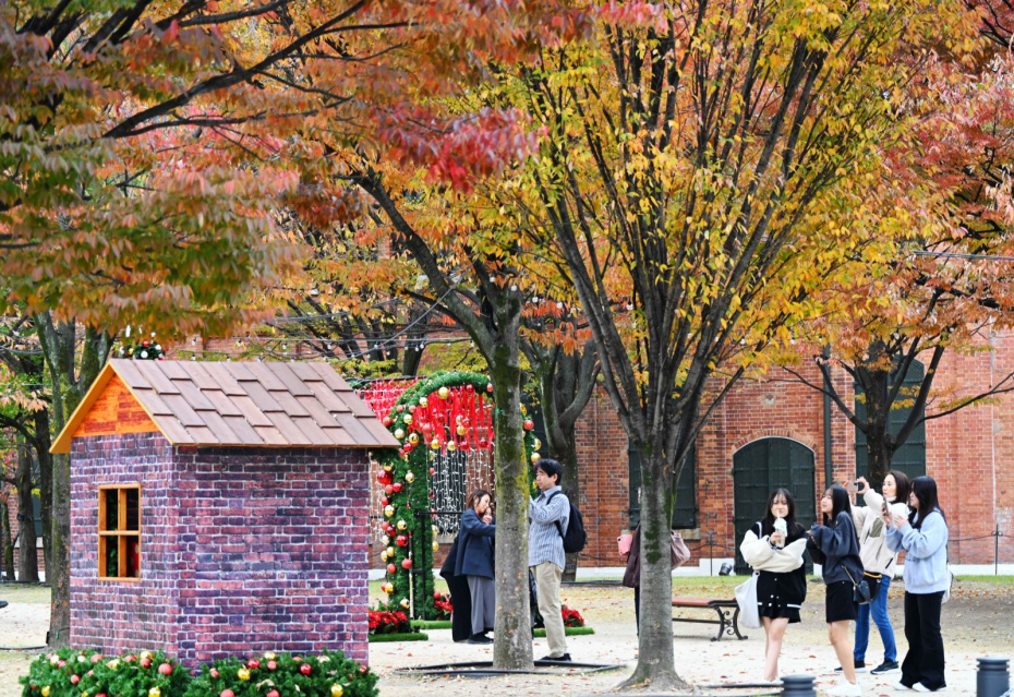 Практические советы: как организовать идеальную поездку