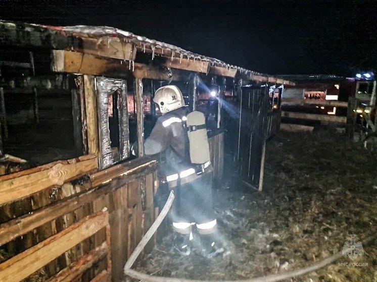 В Омской области загорелся сарай с сеном