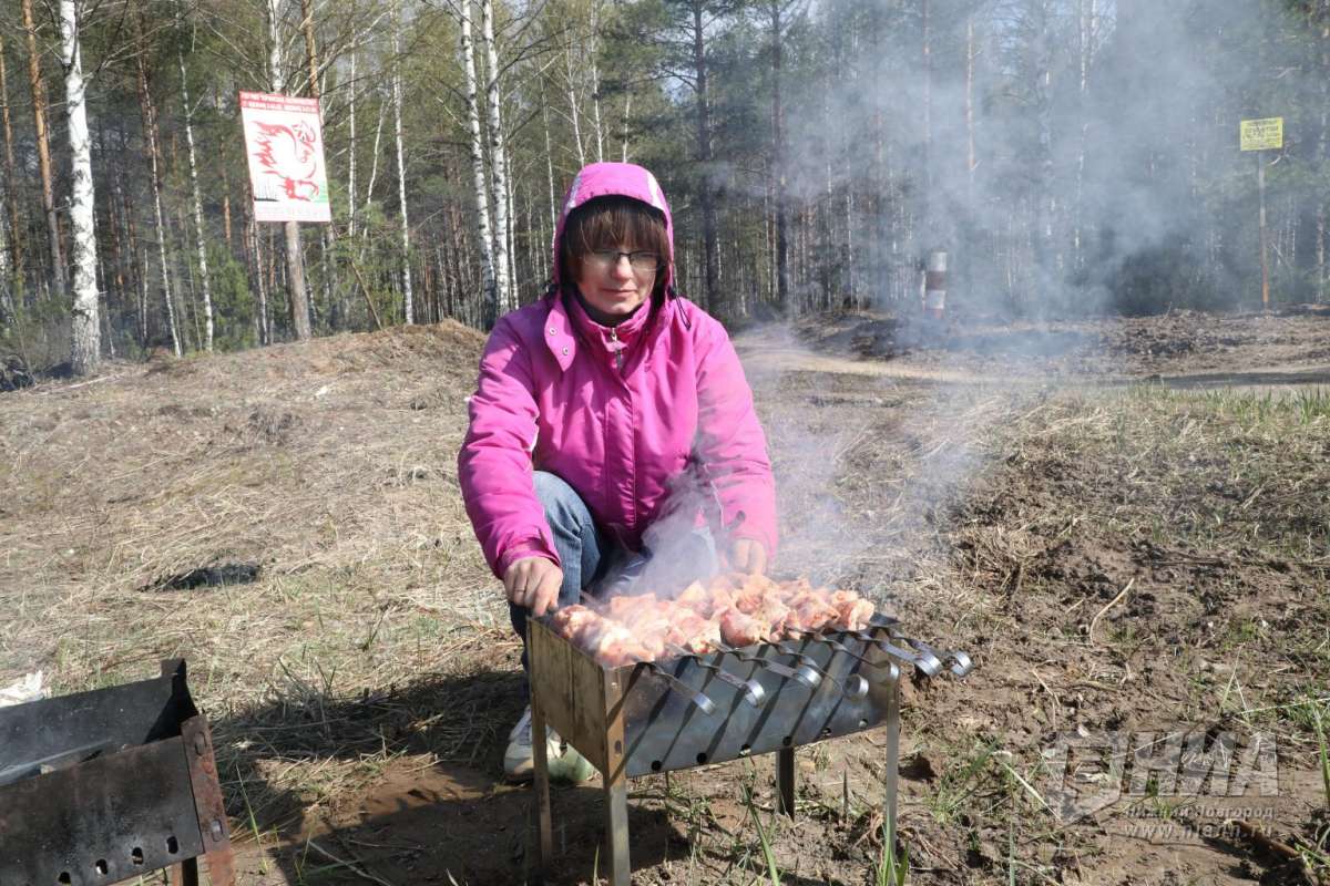 Нижегородцам рассказали, как замариновать шашлык без вреда для здоровья