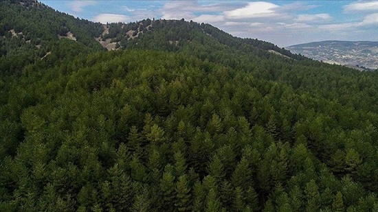 К концу года в Турции откроются еще несколько ландшафтных парков