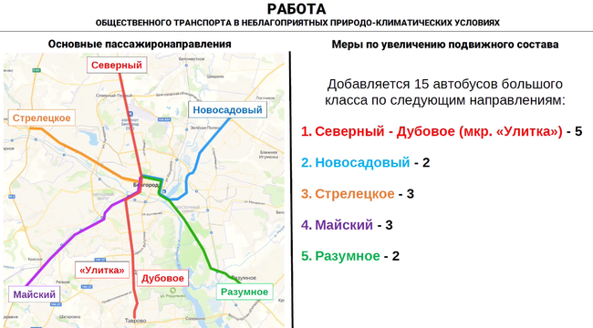 В 2024 году в Белгороде расписание общественного транспорта увеличат на 157 рейсов - Изображение 