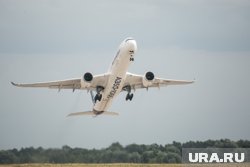 Авиакомпании РФ приостановили полеты 34 самолетов Airbus A320/A321neo