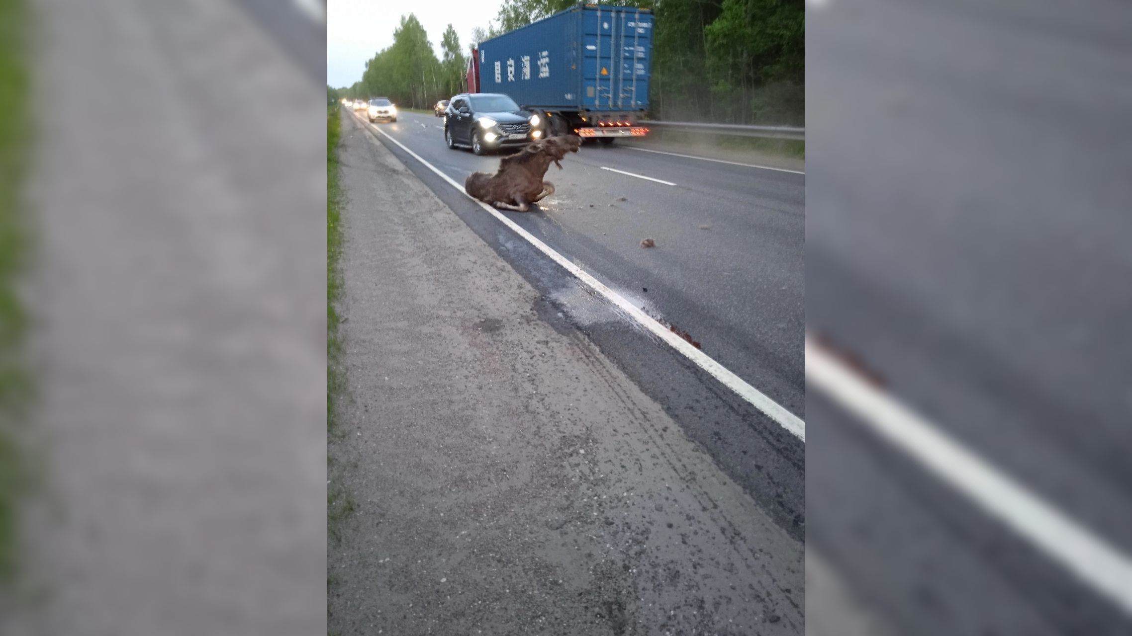 Скончалась пострадавшая в дтп