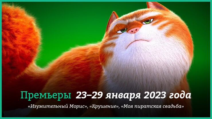 Источник: «Вольга»