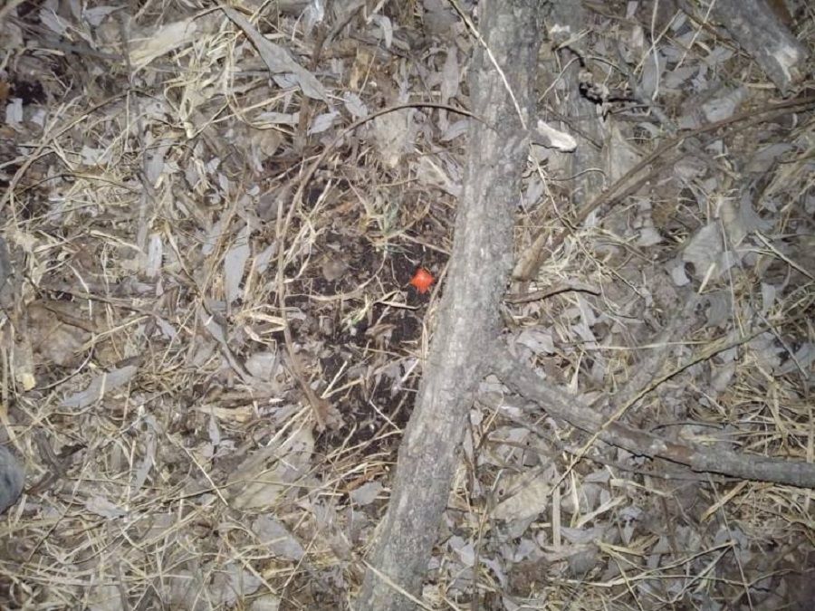 Фото: @prim_police | Приморские полицейские поймали героинового наркодилера из среднеазиатской диаспоры