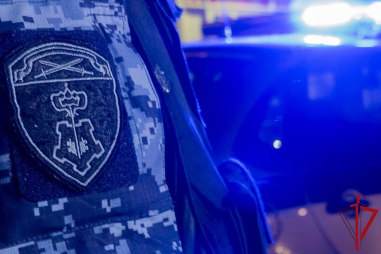 В Купчино сотрудники Росгвардии задержали хулигана, повредившего припаркованный автомобиль