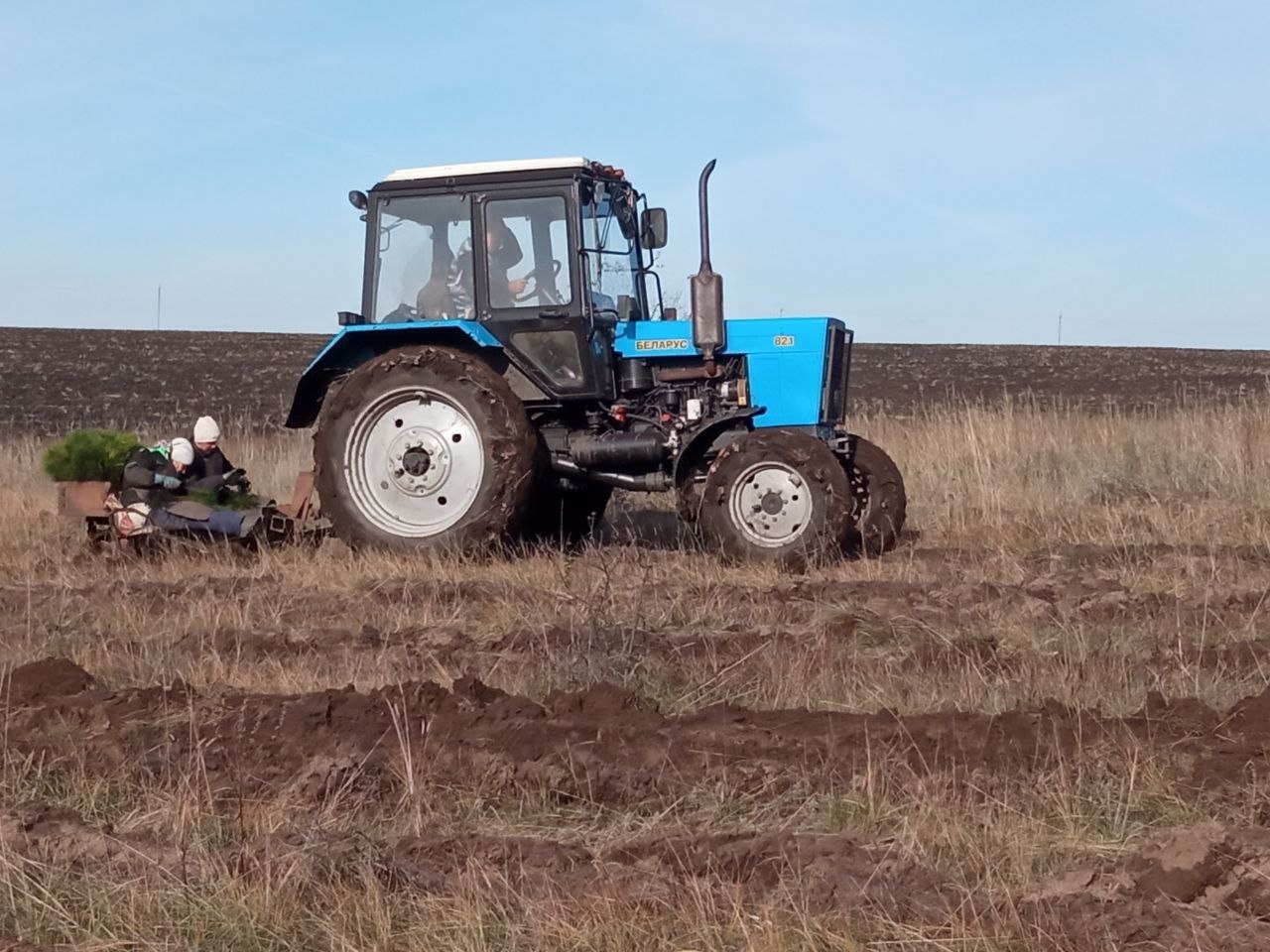 В Саратовской области показатель по воспроизводству лесов вырос на 900%