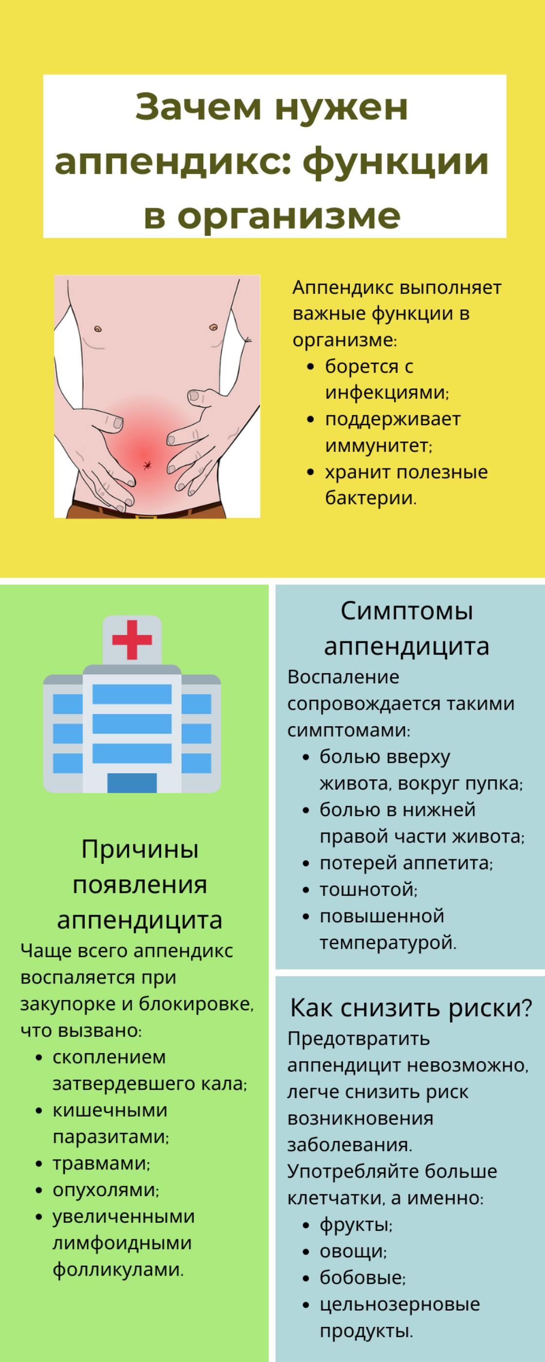 Функции аппендикса у человека