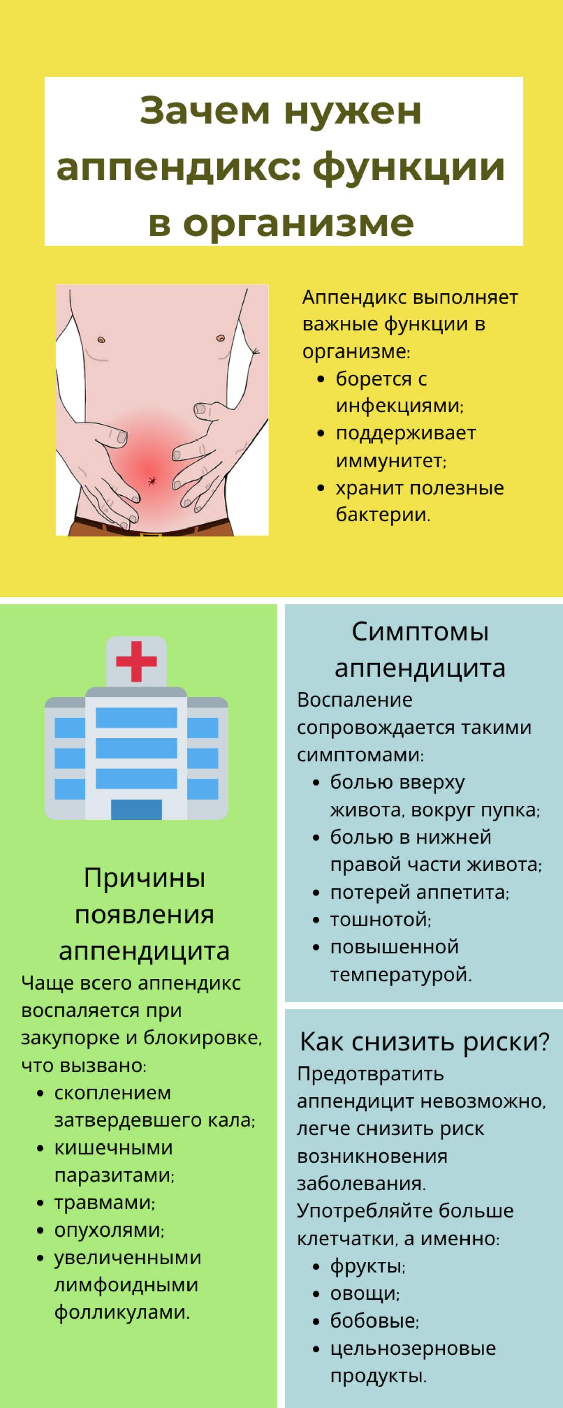 Норма аппендикса. Зачем нужен аппендикс функции.