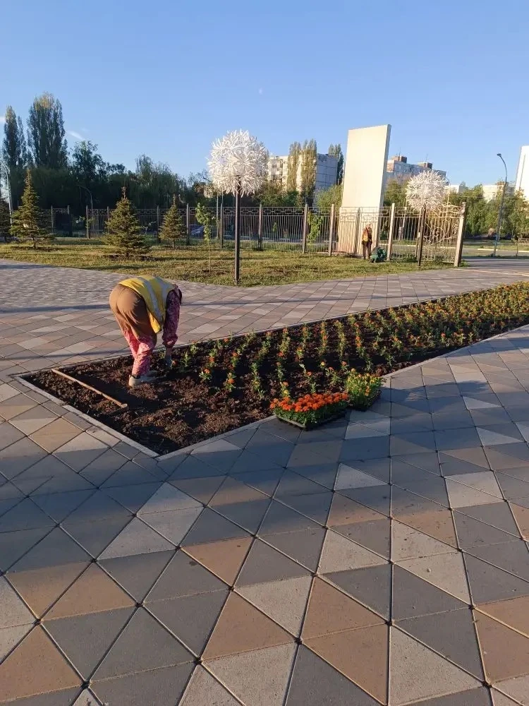 Покос травы, уборка мусора, очистка общественных территорий: коммунальные службы работают ежедневно