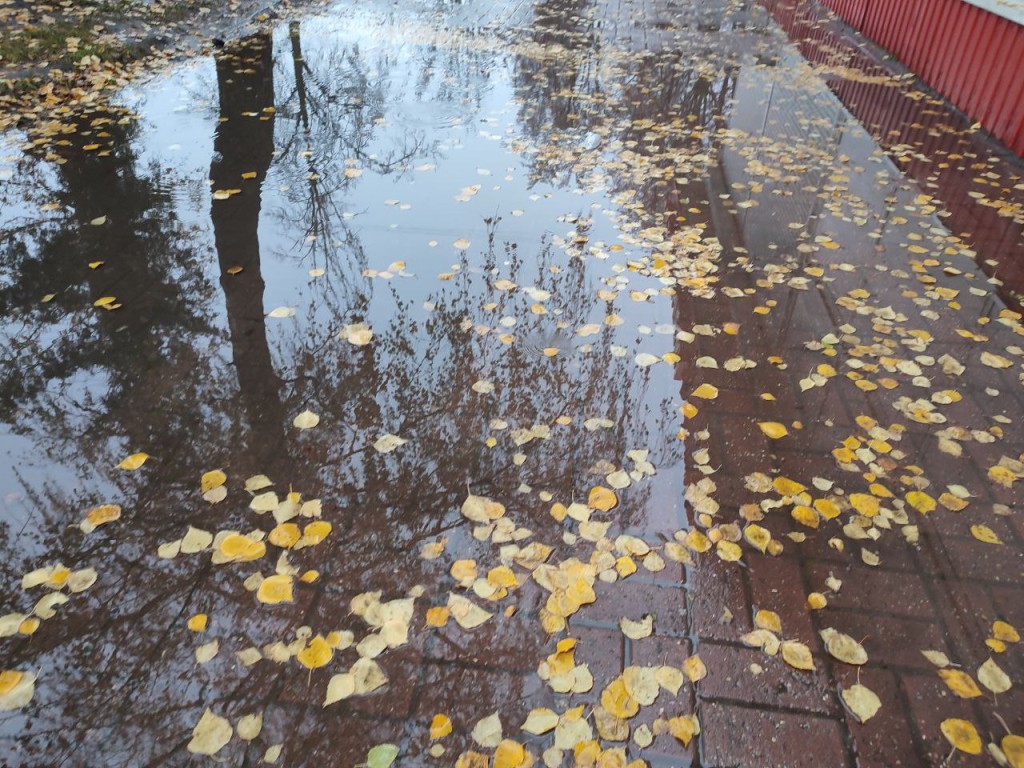 В последнюю неделю октября в Подмосковье температура упадет на 10°C и зарядят дожди