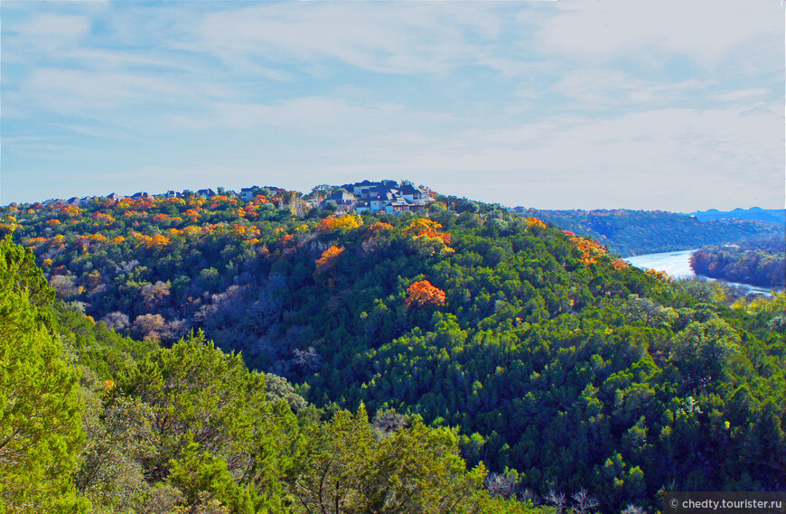 Жизнь на опушке леса
