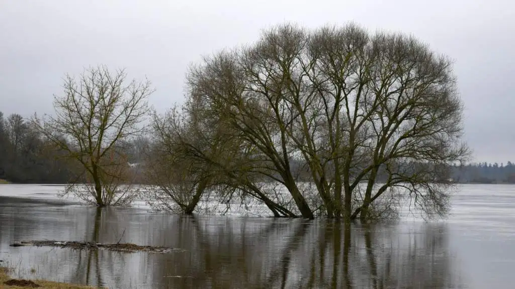 Синоптики рассказали о ситуации с повышенным уровнем воды в реках Латвии