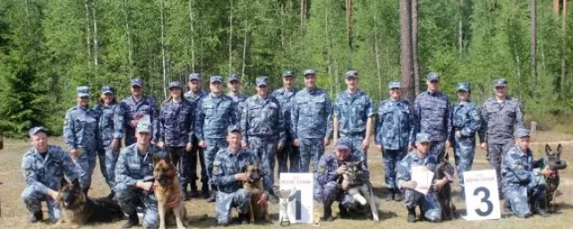 В Псковской области определили лучших кинологов