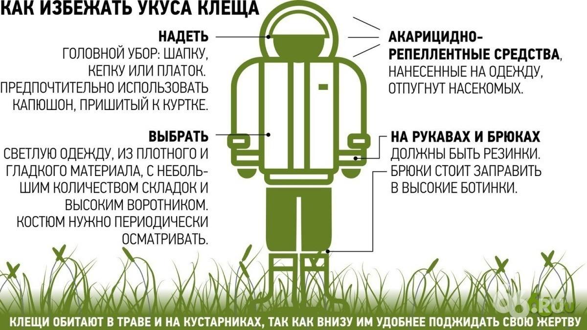 В Екатеринбурге начинается сезон клещей. Два эффективных способа защитить себя
