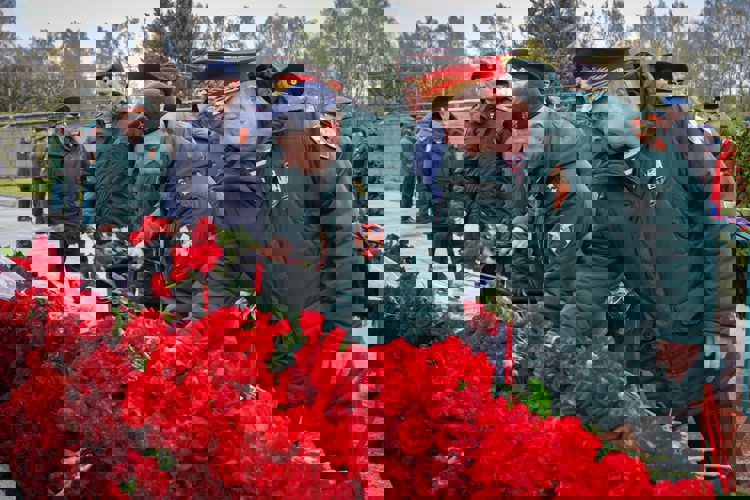 В Санкт-Петербурге росгвардейцы почтили память погибших в годы Великой Отечественной войны