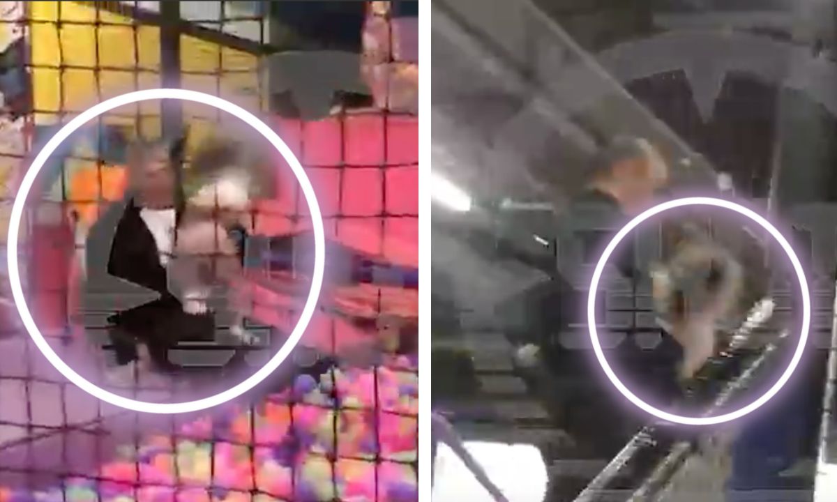 Бандиты похитили девушку. Женщины мигранты в москве. Украли девочку в кировском районе новосибирска. Похищение детей в москве. Ориентировка на похищенные вещи.