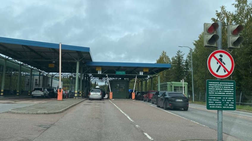 аменсализм это в биологии.