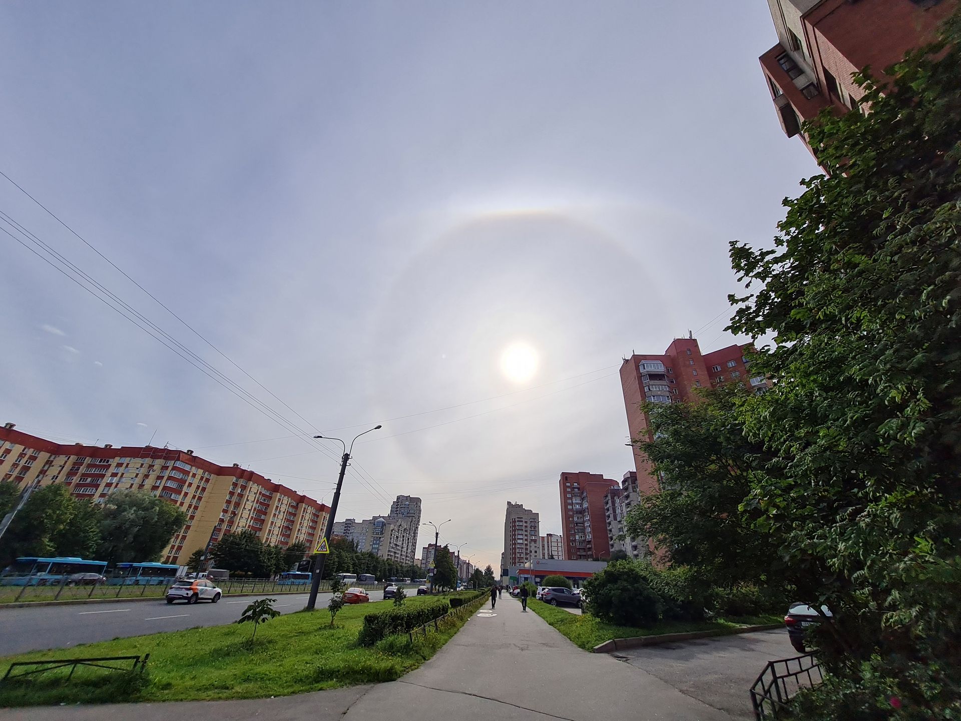 Гало над питером. Гало в петербурге. Солнечное гало спб. Гало в петербурге. Питер явление.