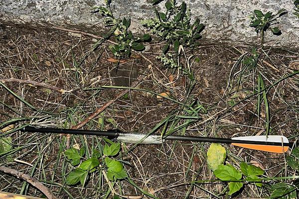Сотрудниками ИК-18 ГУФСИН России по Челябинской области во взаимодействии с коллегами из УФСБ России по городу Магнитогорску пресечена попытка доставки наркотических средств в исправительное учреждение
