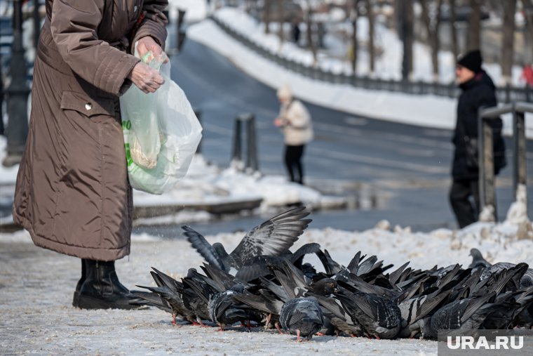 Помощь нуждающимся, забота о ближних, благотворительность — все это находило особое покровительство высших сил