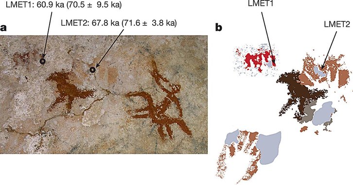 Фото: Maxime Aubert / Griffith University