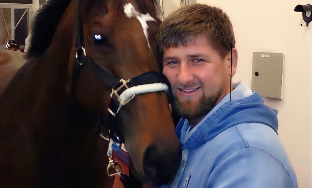 «СБУшников с жеребцом обманули»: Кадыров опроверг собственные слова о выкупе любимого коня у спецслужб Украины за 18 тысяч долларов 