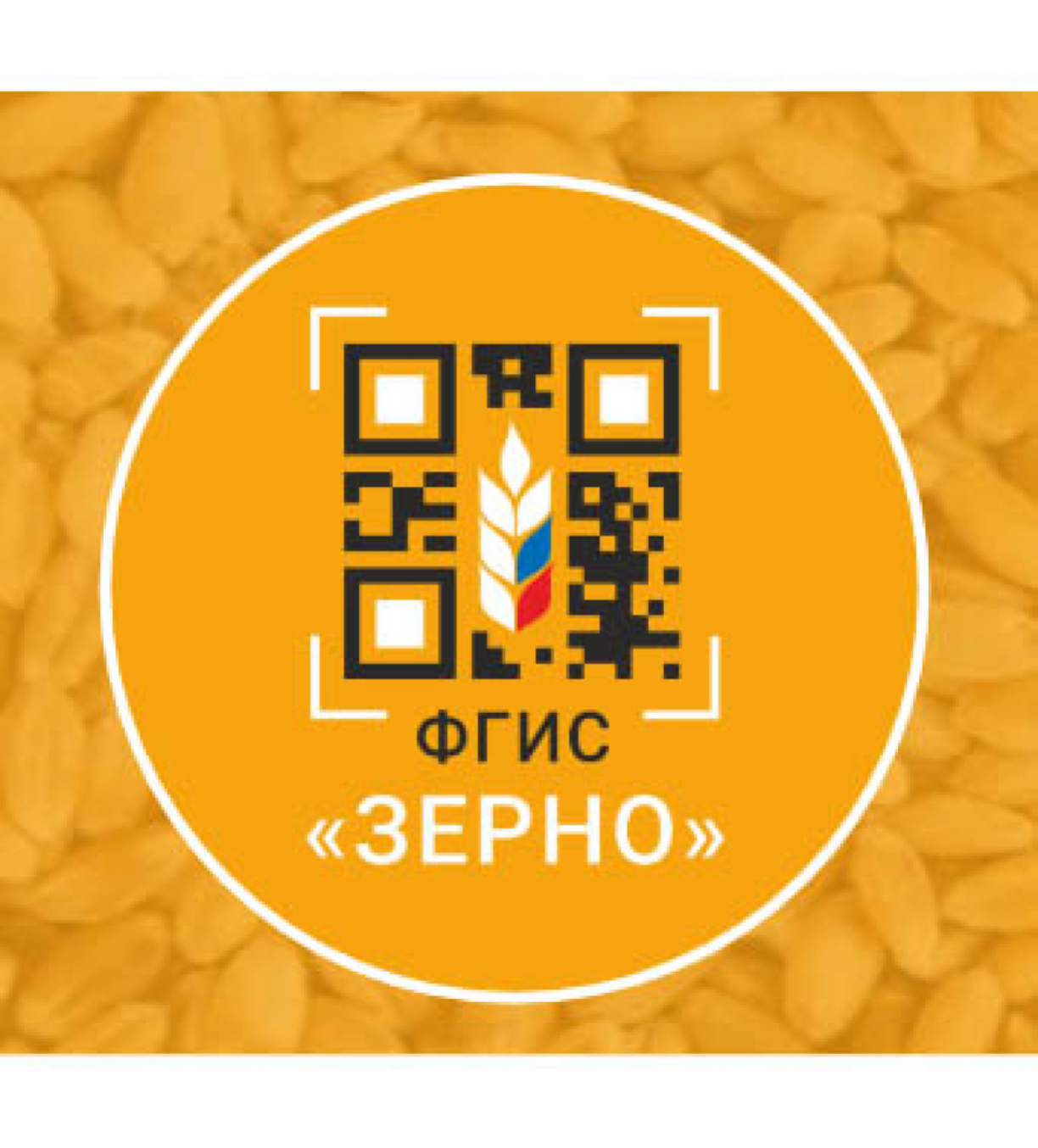 Система зерно. ФГИС зерно. Система ФГИС зерно. ФГИС зерно 2023. Зерно логотип.
