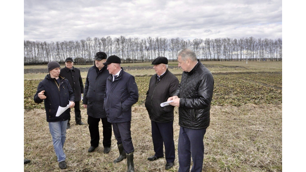 Стартовала подготовка к проведению международной выставки «День Брянского поля-2025»
