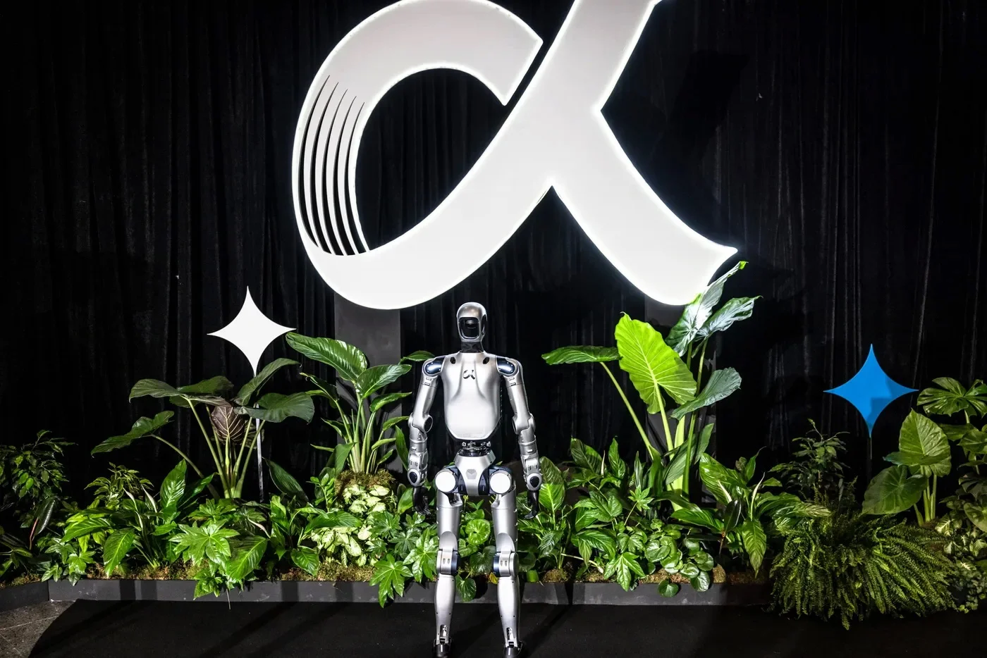 Honor Humanoid Robot