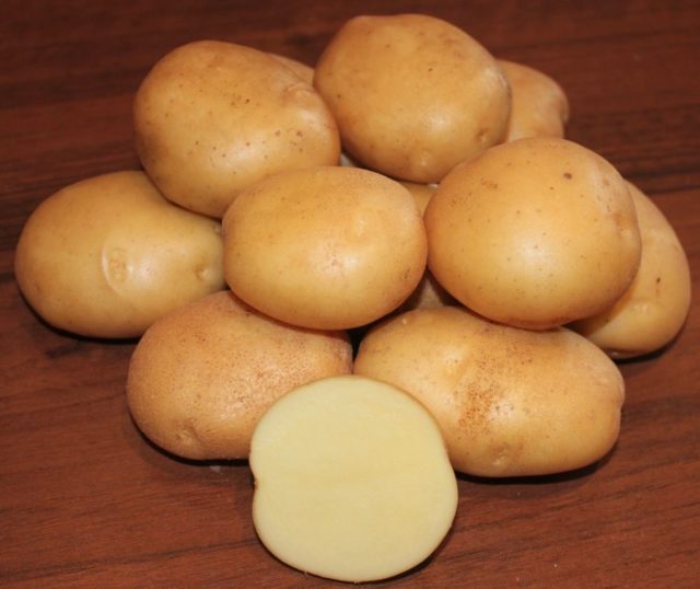 Лучшие сорта картофеля для Южного и Среднего Урала: семенного, новые, отзывы