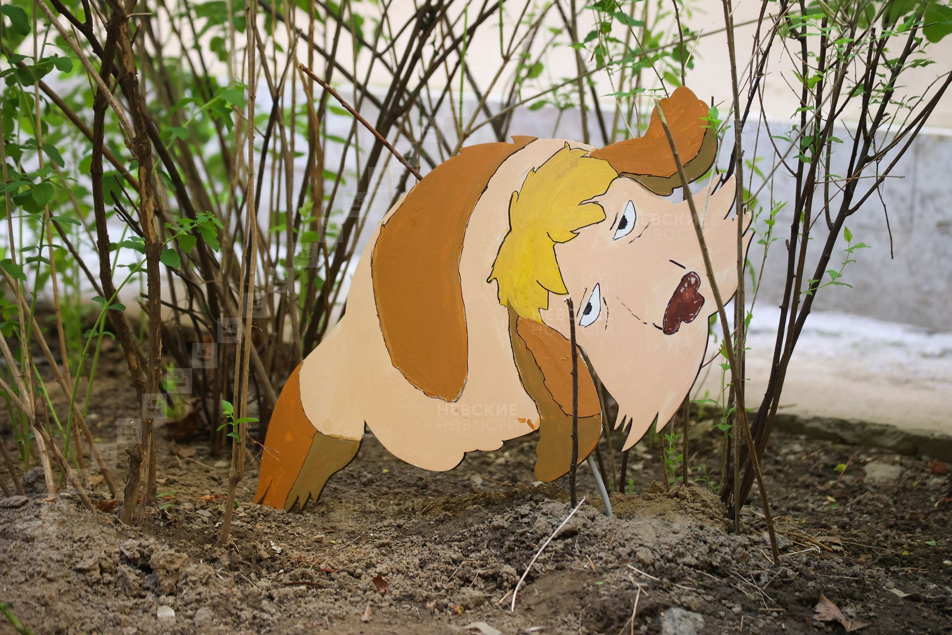 миядзаки нижний новгород