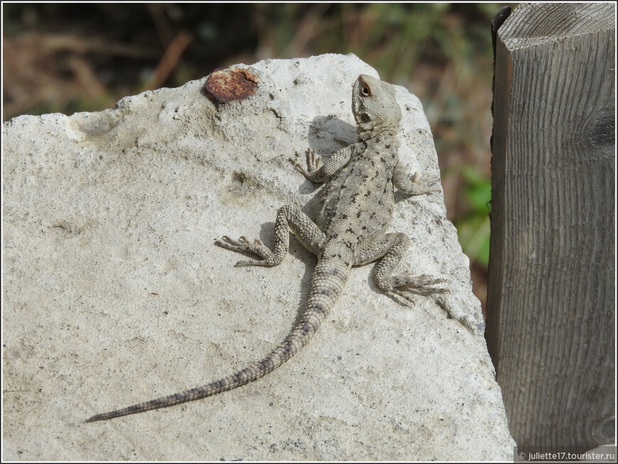 Затерянный мир Сулакского каньона