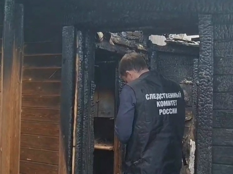 В убийстве и поджоге обвиняют местного жителя из деревни под Жуковом