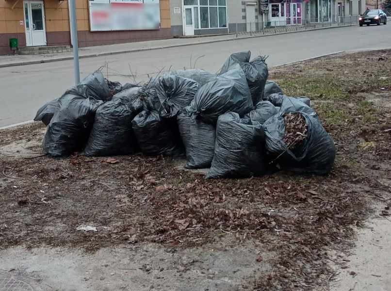 Белгородцы жалуются на плохую уборку улиц после зимы