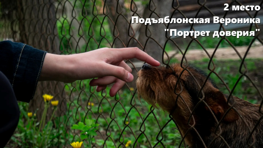 Юные фотографы из Боровска стали призёрами областного этапа конкурса «Юность России»