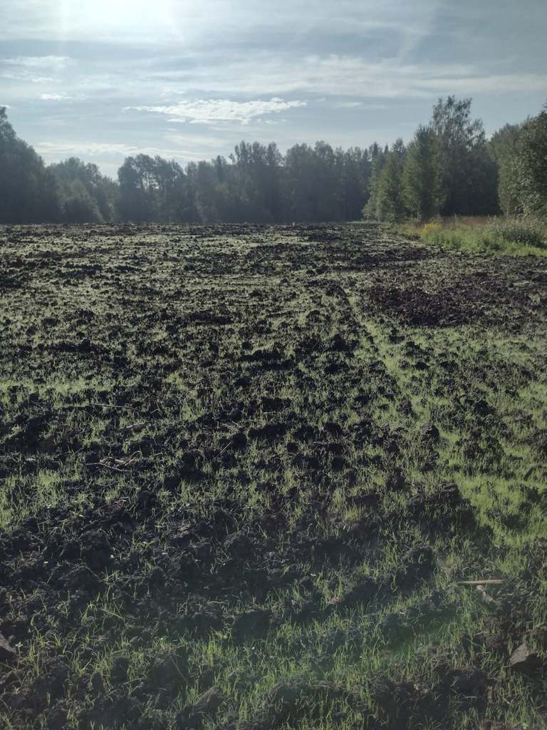 Барзасский заказник презентация