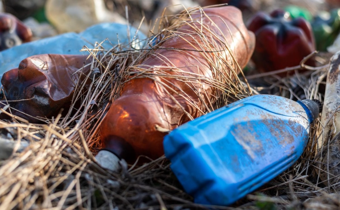 Фото: ru.freepik.com