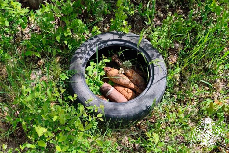 В Крымском районе взрывотехники Росгвардии уничтожили 17 мин