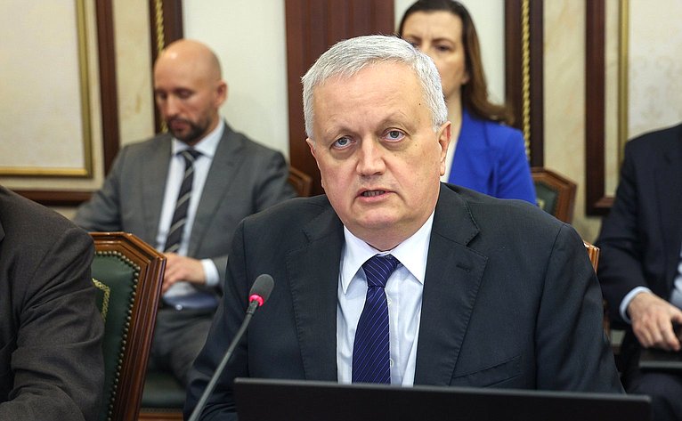 Заседание Комитета Совета Федерации по международным делам