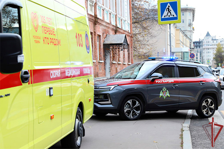 В Москве росгвардейцы оказали помощь женщине, получившей травму в результате ДТП (видео)