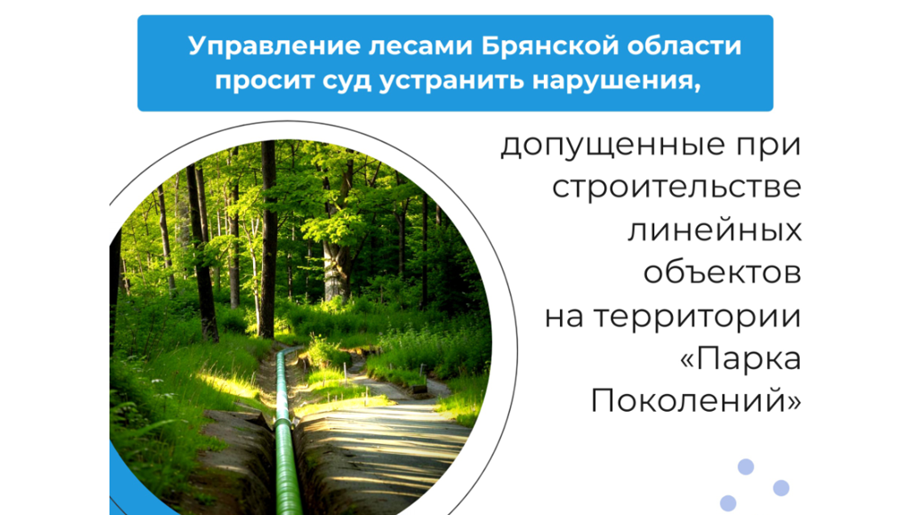 Брянский суд рассмотрит дело о нарушениях при возведении объектов в «Парке Поколений»