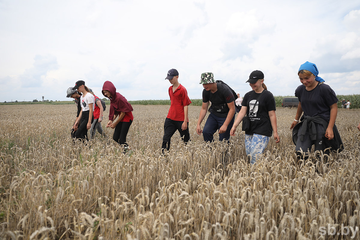 фермерские хозяйства европы. хозяйства местного населения. вече в новгороде васнецов. новгородское вече васнецов. доклад на тему освоение сибири.