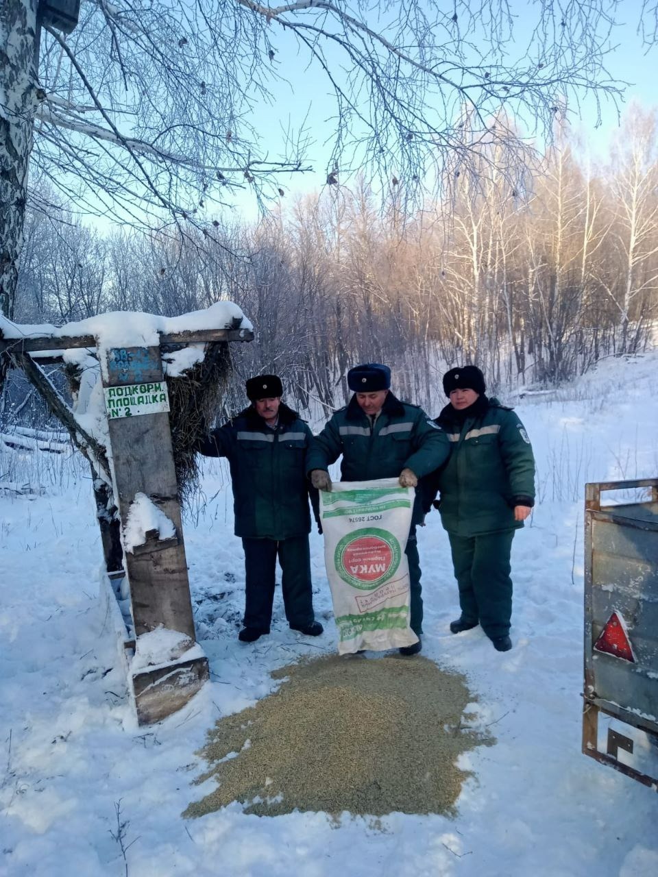 Лет лесника текст