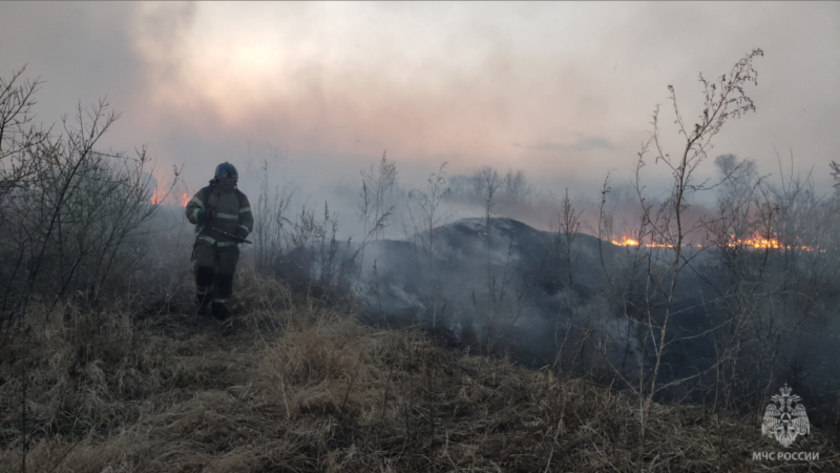 Мобильные приложения помогают амурским пожарным находить очаги возгораний - gtrkamur.ru
