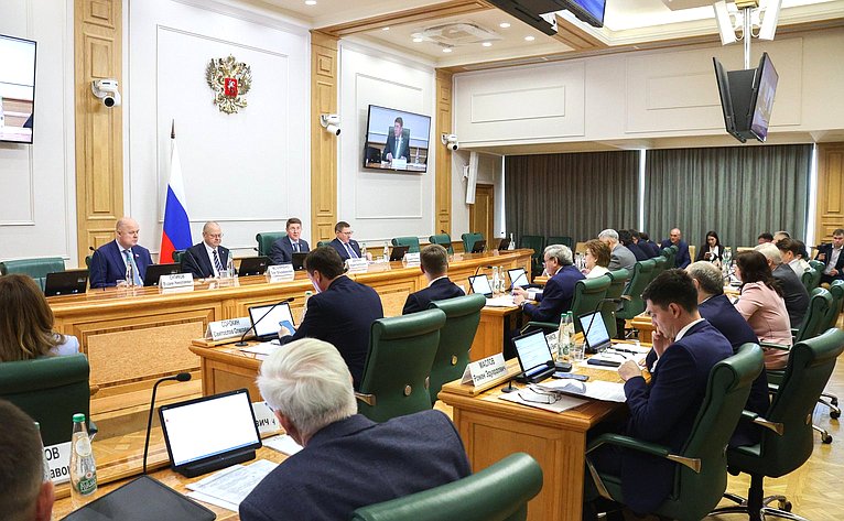 Расширенное заседание Комитета Совета Федерации по федеративному устройству, региональной политике, местному самоуправлению и делам Севера в рамках Дней Пензенской области в СФ