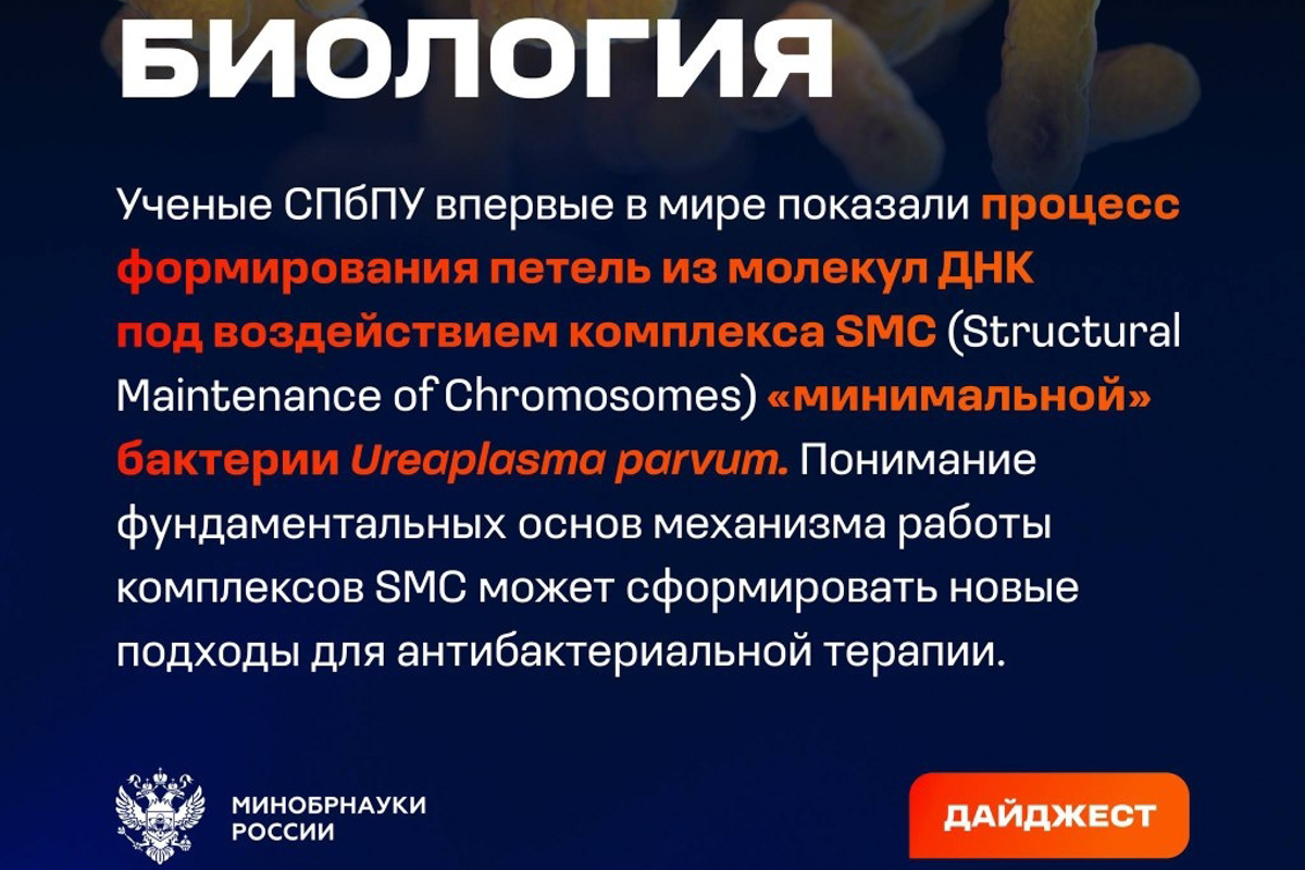 Новость об открытии учёных Политеха в телеграм-канале 