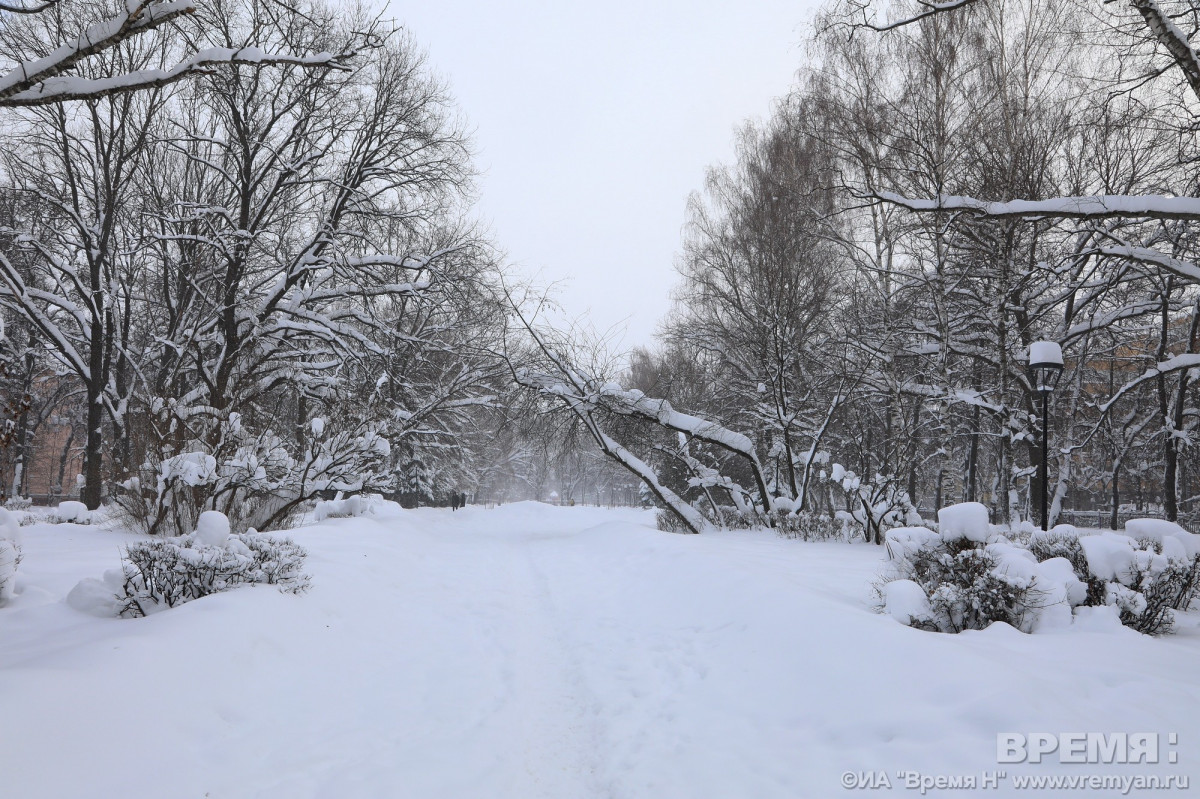 Погода большое нижегородская область