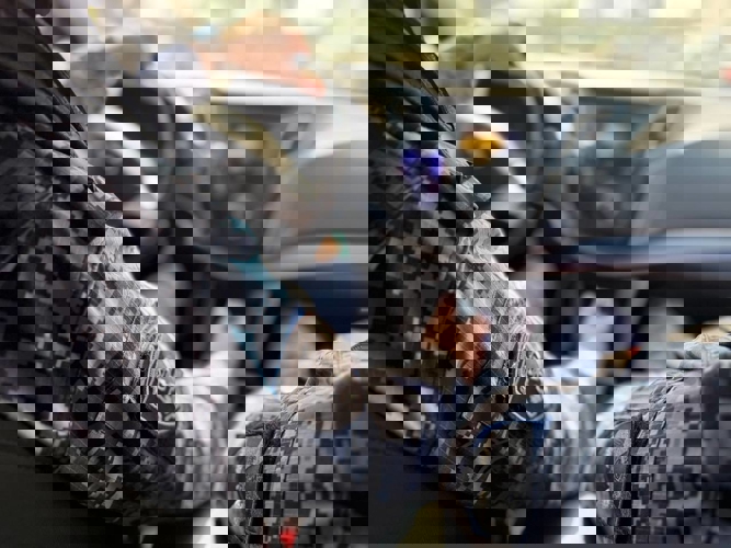 Ярославские росгвардейцы за прошедшую неделю совершили более 300 выездов по сигналам «тревога» 