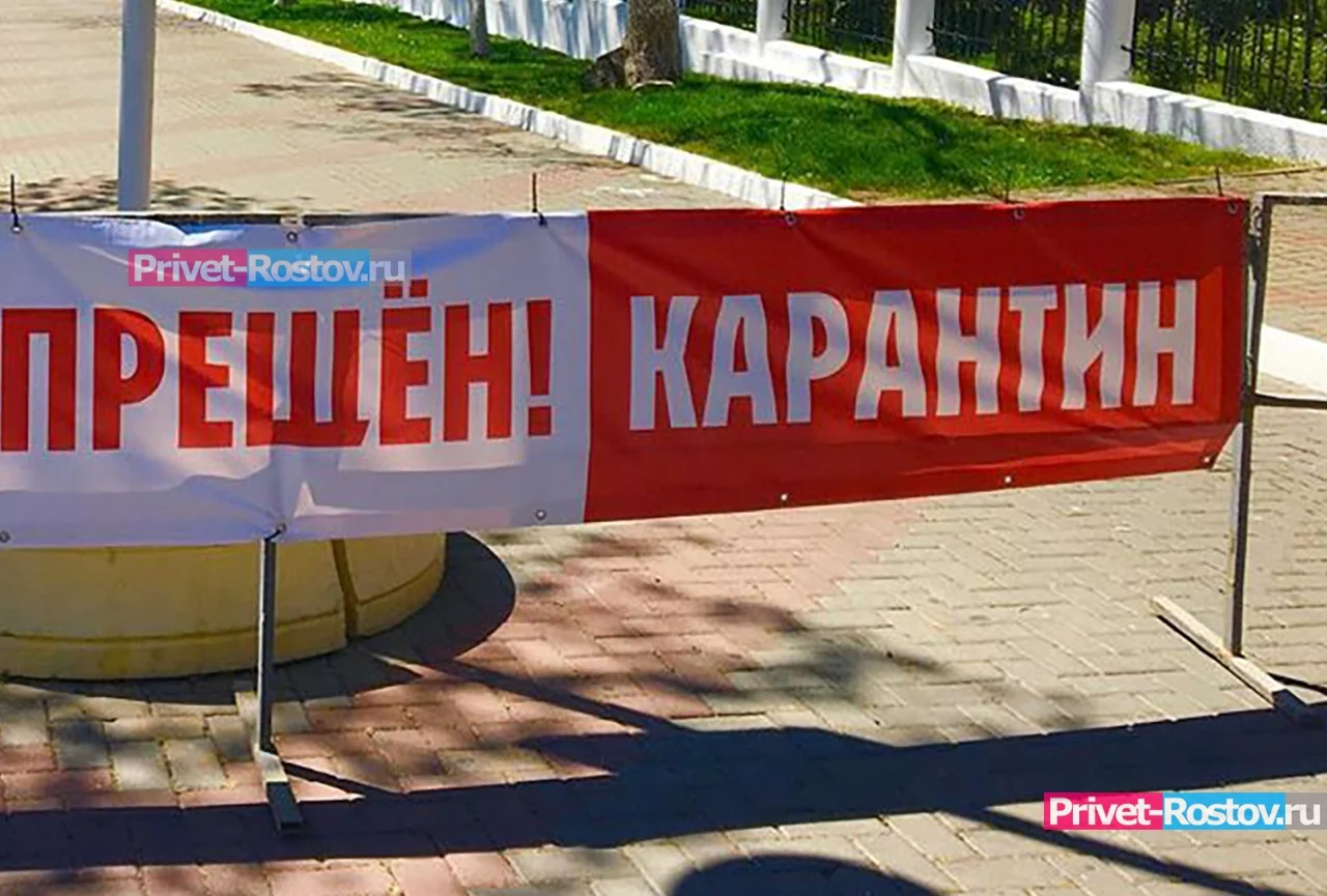 Карантин введут в Ростовской области